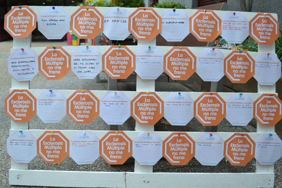 WorldMSDay's tweet photo. La @esclerosiseme realizó tantos eventos geniales en #WoldMSDay que no supimos escoger sólo una foto. https://t.co/qapLoFdtIg