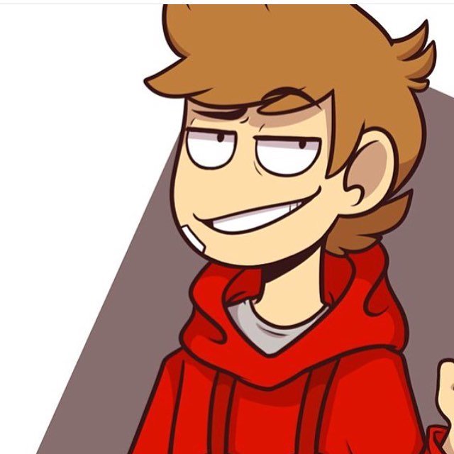 Can anyone be more bad ass then tord? He's a teen already taken over Russia but is slowly taken over the whole world