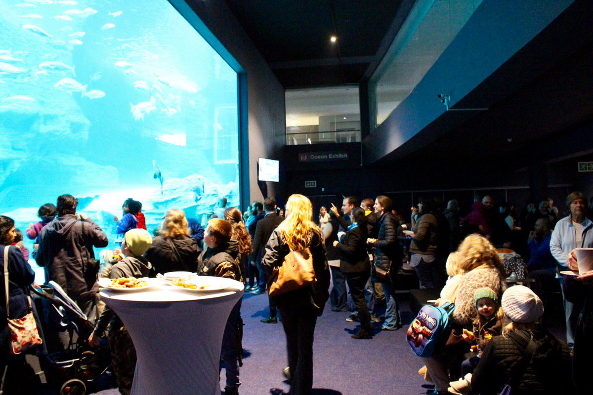 2OceansAquarium's tweet image. In photos: The I&amp;amp;J Ocean Exhibit and Jelly Gallery open in Cape Town #CapeTown @ijltd aquarium.co.za/blog/entry/in-…