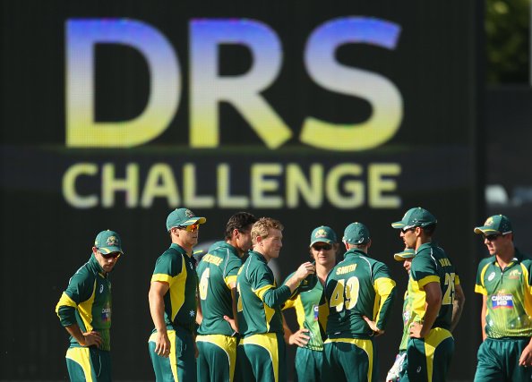 Calypso Cricket tweet media