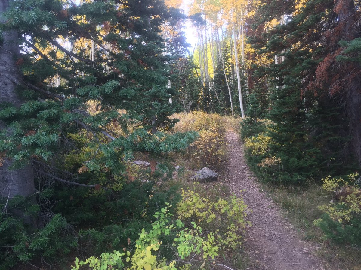 Nov_Project's tweet image. Hooked on trail? Need more MTNS? Try #ECSUT trail races 9/24-25. Use code &quot;NPUT15&quot; = 15% OFF bit.ly/1KL8wO7