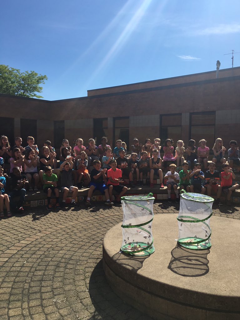 MrsONeilWFE's tweet photo. Butterfly release day! https://t.co/MtOe91L7X4