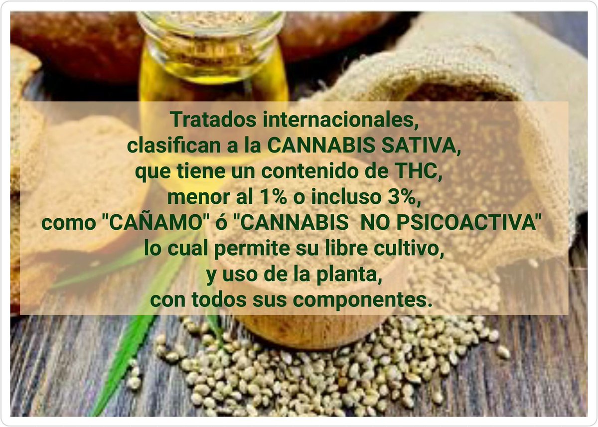 Raulinvasor's tweet photo. El Cañamo es planta no psicoactiva  @Emilio_Gamboa_ @rgilzuarth necesitamos reserva @SenadorMayans @Cristina_Diaz_S https://t.co/VIXLJv6KPg