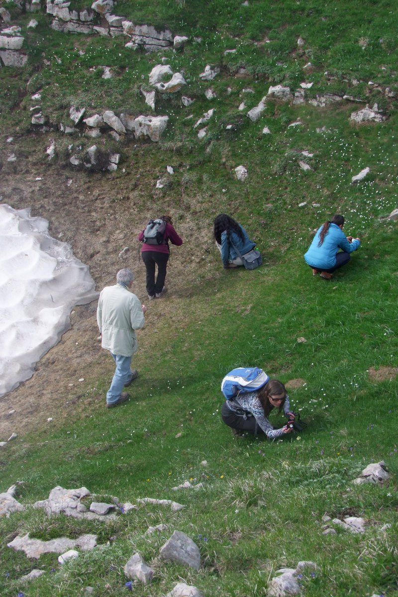AssoJNE's tweet photo. Les journalistes-écrivains JNE ont exploré le Vercors, sa faune et sa flore #nature #biodiversité https://t.co/qIhpo11NY6