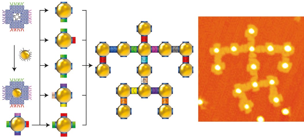 NatureChemistry's tweet image. Self-assembly of nanoparticles into predefined complex planar architectures rdcu.be/iSgb (RC)