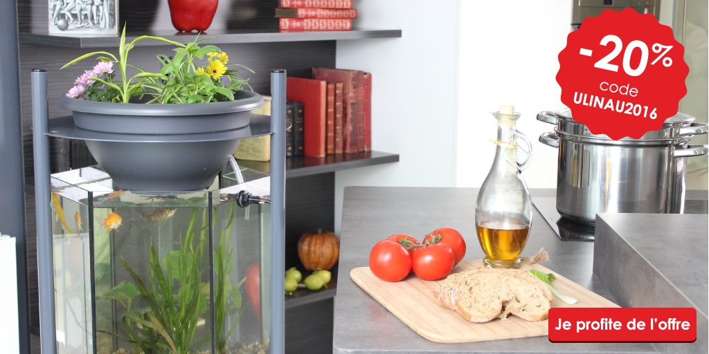 Lancement de la boutique en ligne d'Urbanleaf ! 
-20% jusqu'au 30 juin 2016 sur ow.ly/jnRO301cMev