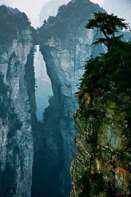 vcreektravel's tweet photo. Avatar Hanging Mountains #China - https://t.co/uhVy5DnPEI
#HangingCliffs #Mountain https://t.co/QzEOy6STAX