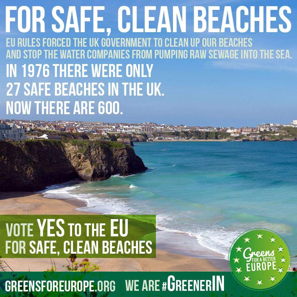 Green Party Memes tweet media