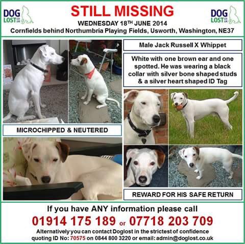 LisaLisaw1's tweet photo. Please RT #FindLogan #Missing 18/06/14 #Usworth #Washington #TyneandWear https://t.co/iYic2GTy1R