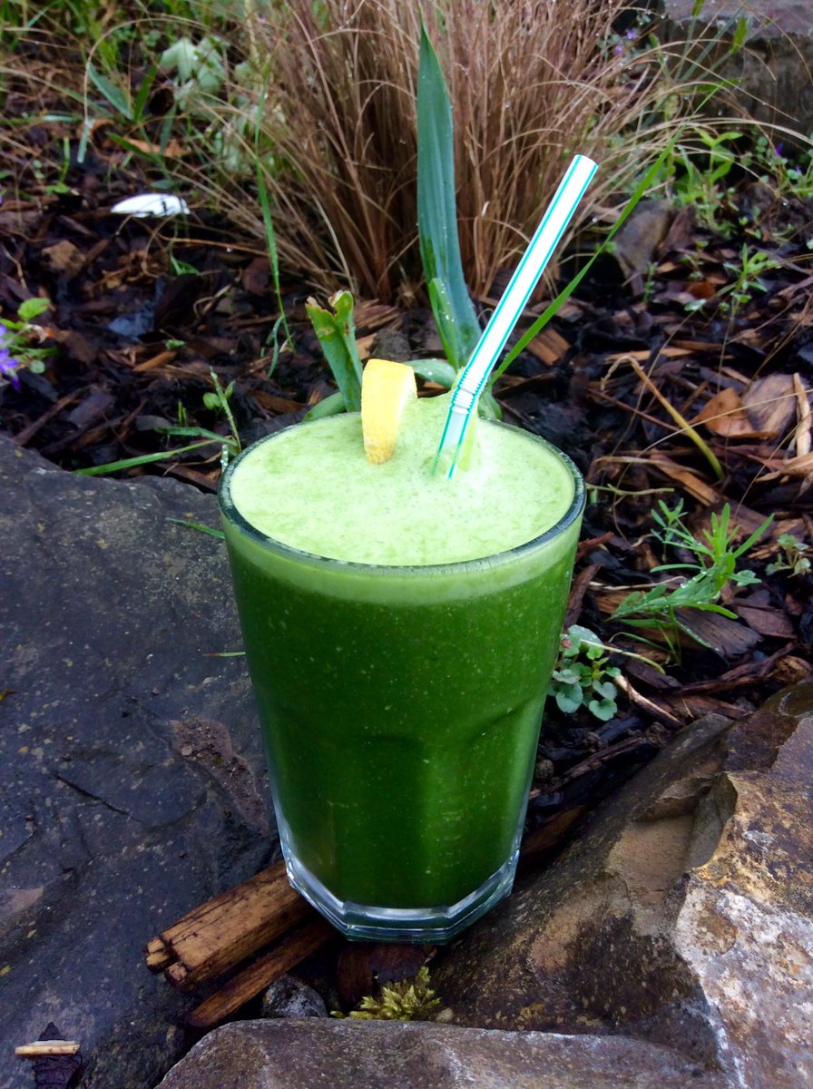 Anyone else "trying" to be good this week?😇 Check out my quick &amp; easy smoothie recipe- Link in bio!     💚🍏🇮🇪💚