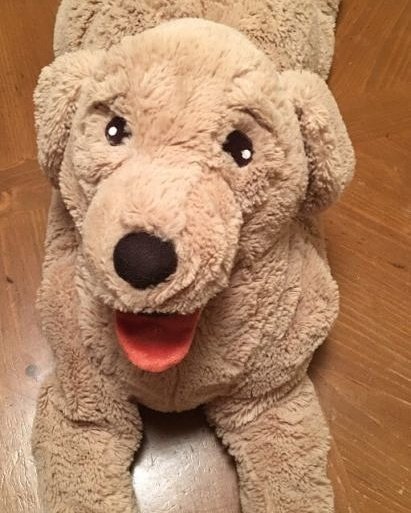 hello__jesper's tweet photo. Meet Minjung's "cousin" Yoonjung... now at my dorm LOL 😂😂😂😂😂
#IKEA #이케아 #GosigGolden #고시그 https://t.co/qQj3F8ak6a