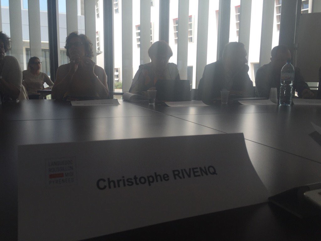 CRivenq's tweet photo. En commission transport #LRMP débat autour des États généraux du #rail, pas à la hauteur des enjeux... #RailLRMP https://t.co/kaaTTpbd2i