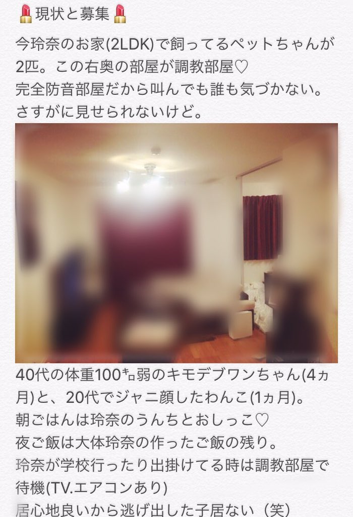 renasama18_S's tweet photo. DMに多かったからまとめて見た。
現状も載せといたから、今まで大好きな玲奈の写メ見て１人でオナニーする事しか出来なかった可哀想なブサ犬ちゃん達もよく読みなさい♡
あと私の部屋載ってるから今回はRT.しなくていいからねー。 https://t.co/QAOyCocHsy