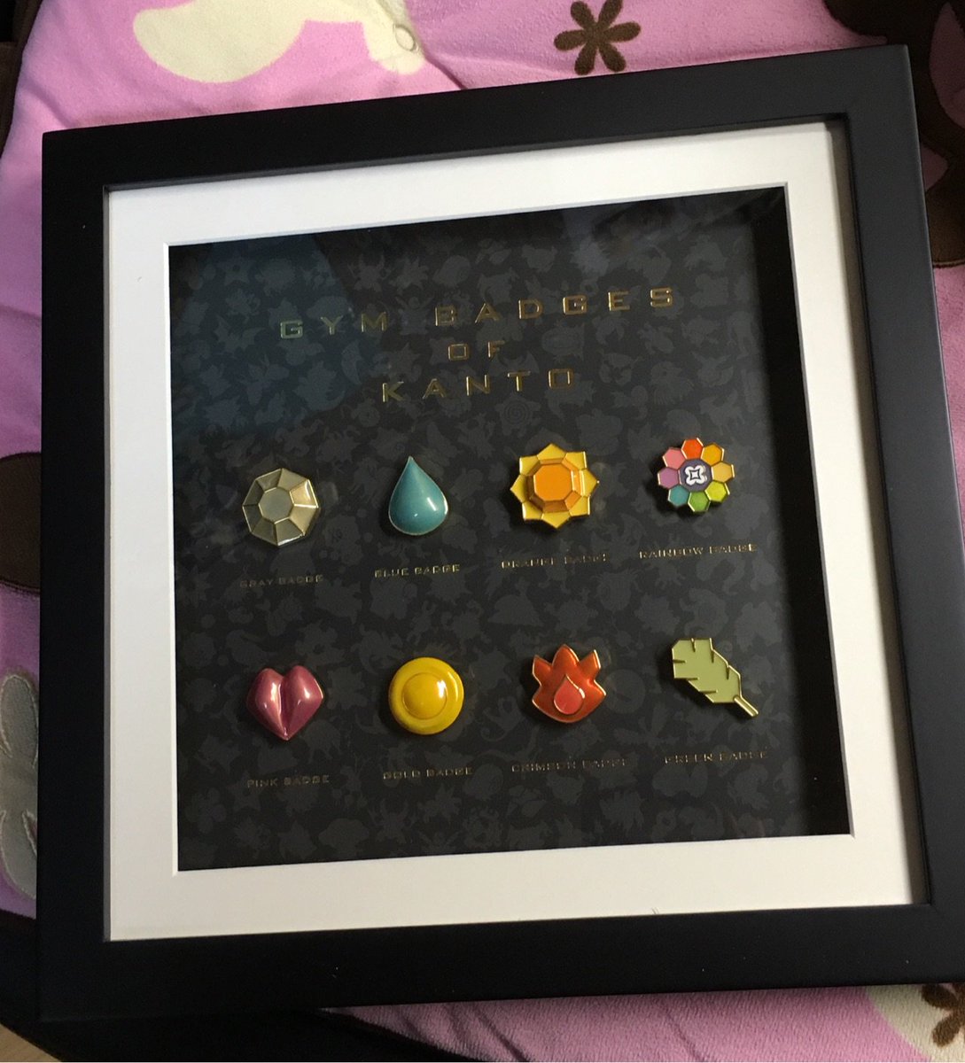 ジムバッジコレクション コンプリートセット 赤・緑」が届いた ジムバッジコレクション コンプリートセット 赤・緑」が届いた