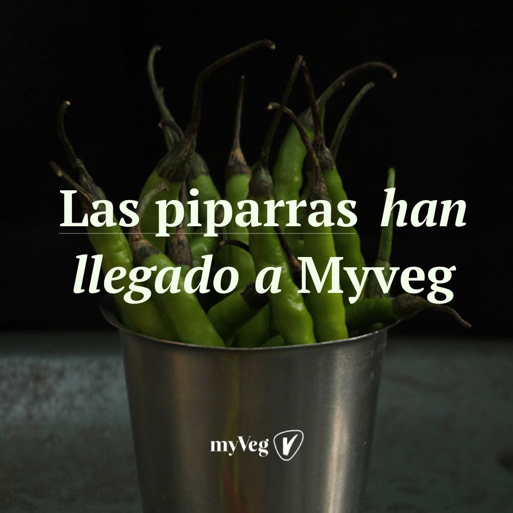 Las piparras frescas han llegado a MYVEG de la mejor manera. Disfrútalas con 2 cañas en nuestra barra por 8€.
