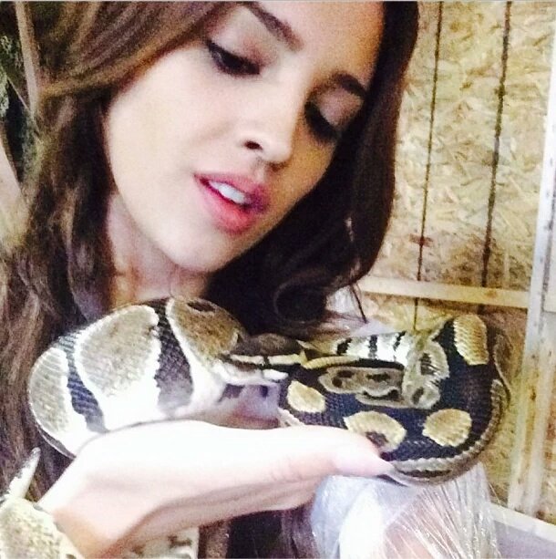 eizaisperfect's tweet photo. #queen #isperfect #amore #love #eizagonzalez la mejor #eizatica @eizamusica https://t.co/zFEzqA0EVo