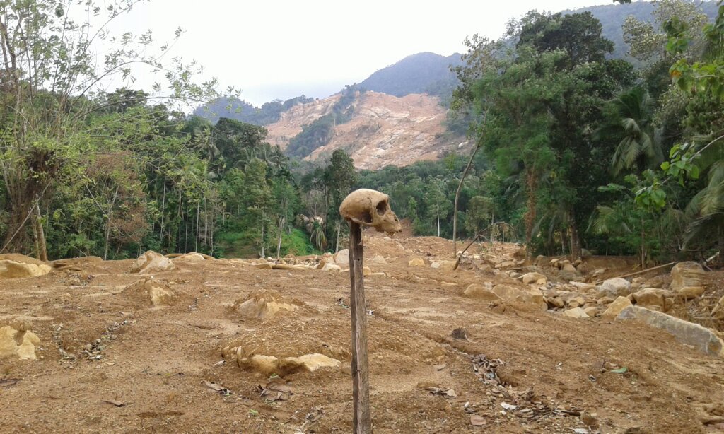 AmanthaP's tweet photo. Loneliness #SriLanka #Aranayake landslide site, a month after 100s were buried alive https://t.co/EuVSnQlzIk