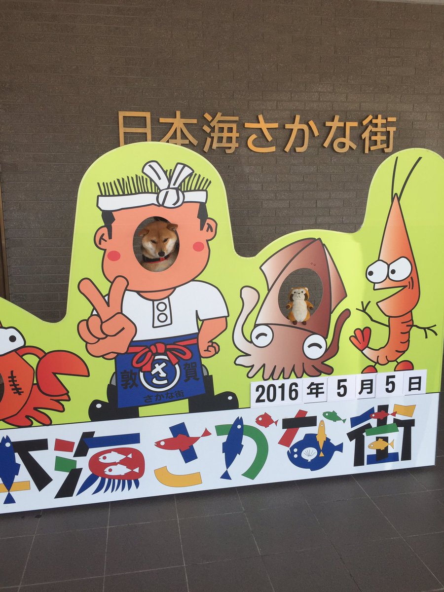 rascalmagic1's tweet image. 紹介するわ、友達のミミちゃんやで。