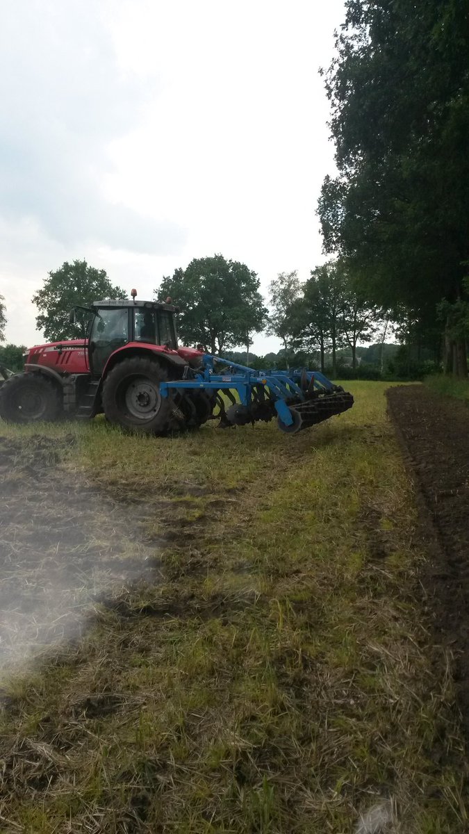 MtsJoling's tweet photo. Voorbereiding percelen #tagetes 2016 #MF7620 https://t.co/jIK6D0np7y