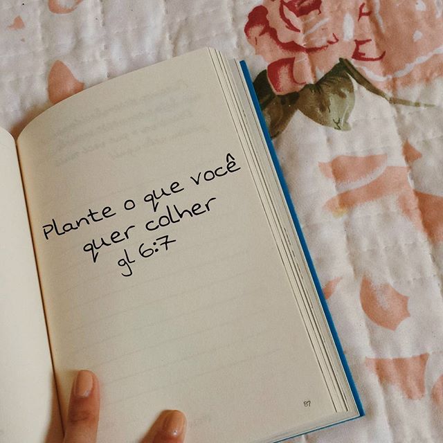Dexconer's tweet photo. Bom dia, irmãos. A verdade do Senhor é imutável! Escolha bem o fruto que você deseja para sua vida! Deus te abençoe! https://t.co/6NjCPpl4sY
