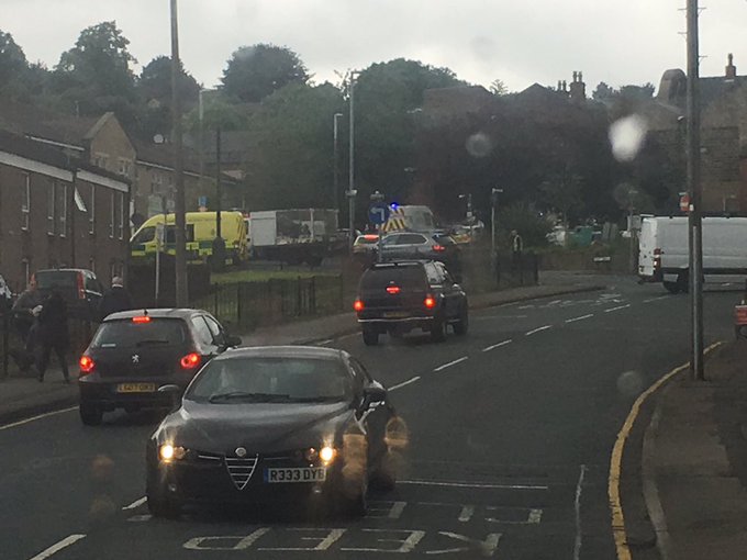 View image on Twitter