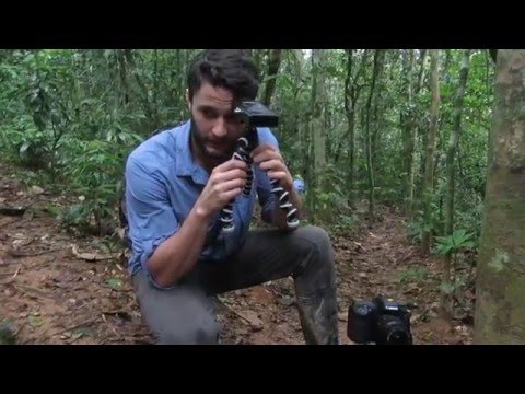 One more thing to keep in mind next time you set up a camera trap...! s.fstopgear.com/pW6z