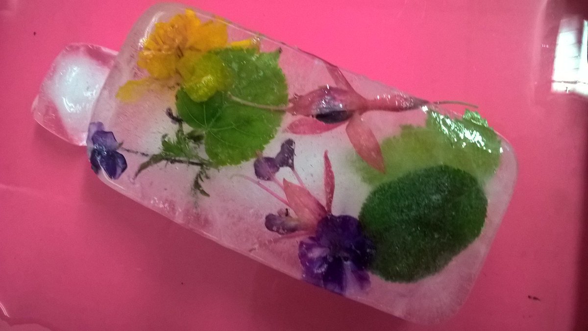 HallamTSA_SLP's tweet photo. #primaryscience ice gardens - one of the activities at our primary science network this morning @STEMLearningUK https://t.co/f2iu6G5zst