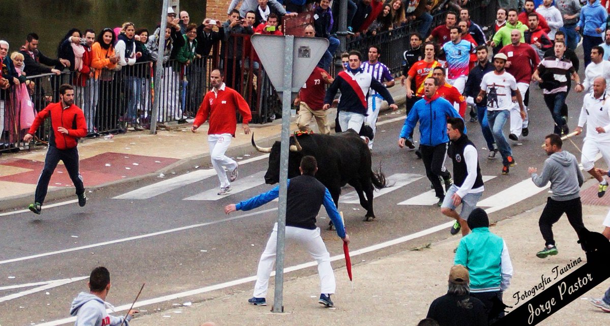 arribestaurinas's tweet photo. Ahora más que nunca, debemos decir alto y claro: ¡Viva el Toro de la Vega! #SíALosToros #SíAlToroDeLaVega https://t.co/XYzpbHTUwT