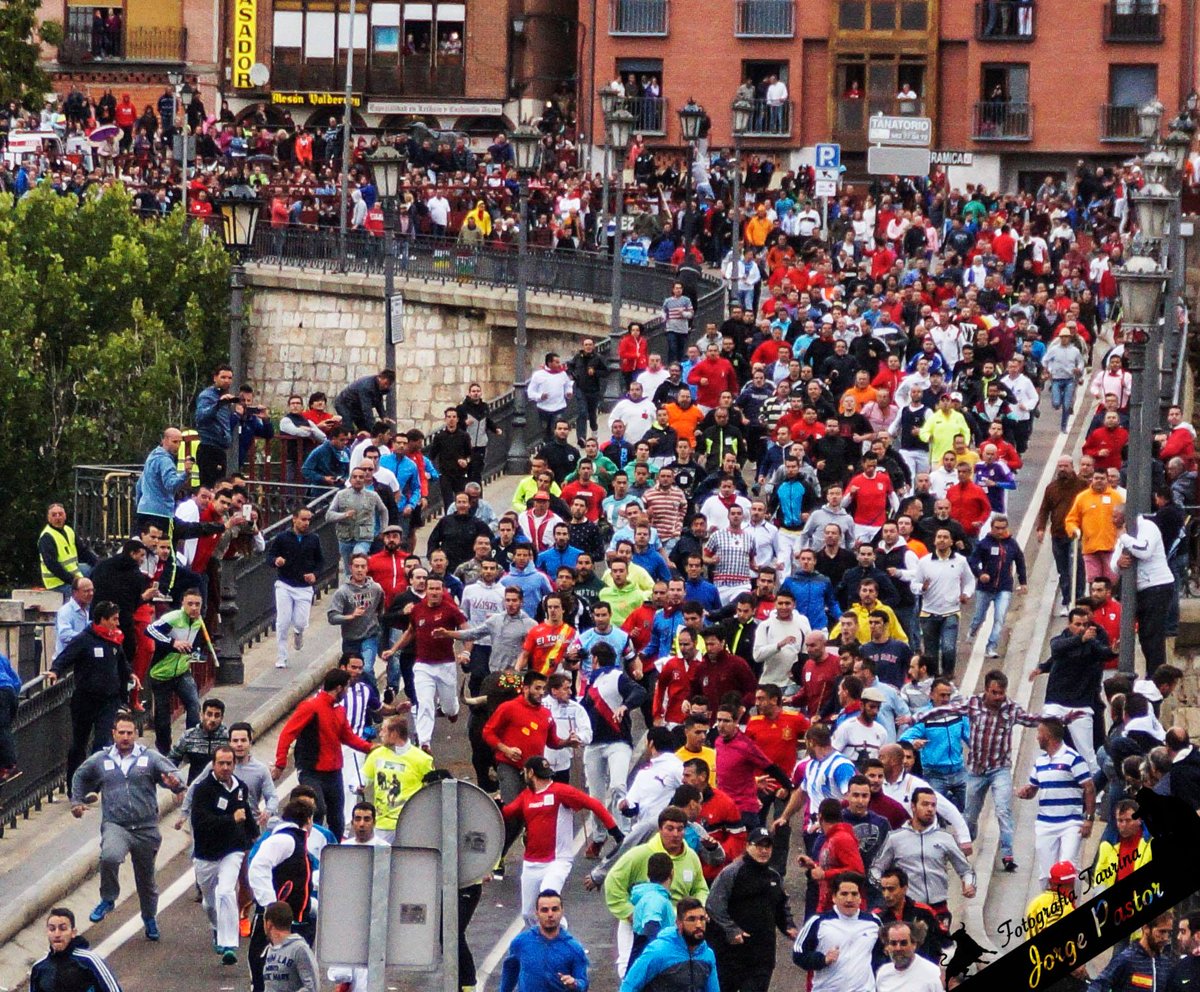 arribestaurinas's tweet photo. Ahora más que nunca, debemos decir alto y claro: ¡Viva el Toro de la Vega! #SíALosToros #SíAlToroDeLaVega https://t.co/XYzpbHTUwT