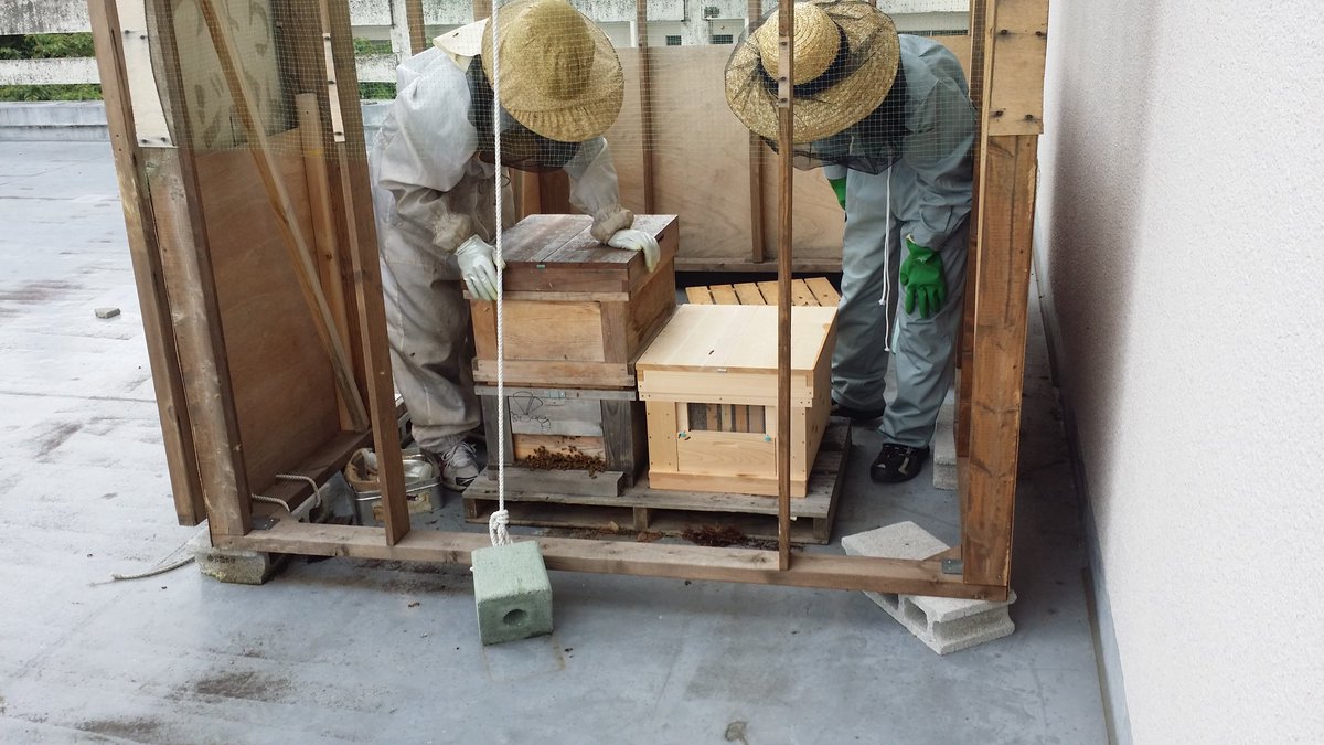 honeyfarming's tweet photo. こんばんは、八王子支部です。本日、(有)山田養蜂場さんのご指導のもと、分蜂作業を行いました。 https://t.co/ufuXHoAMd4