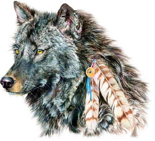 PowerOfAnimals tweet picture