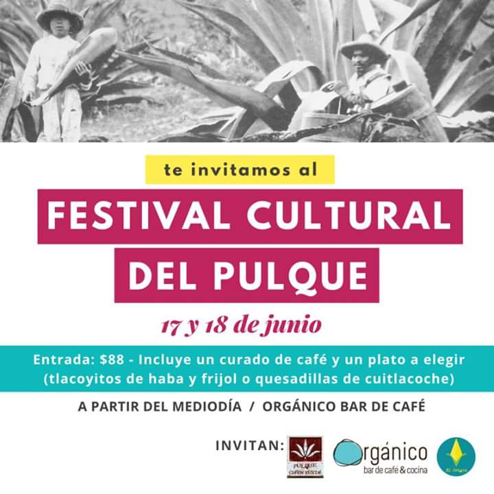 ElOrigenMerida's tweet photo. Viernes y sábado, cocinamos con pulque.
Compartiendo cocina con Orgánico. https://t.co/4bDXiid3cd