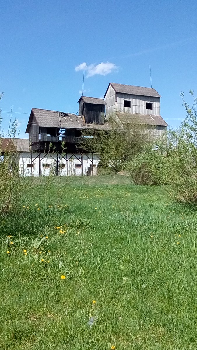RHrysch tweet picture