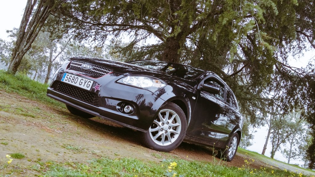 CesarPatea's tweet photo. Rureando por carreteras Extremeñas con mi #KiaCee'd...
@kiamotorsiberia #KiaFamily https://t.co/mn1FTDwrOd