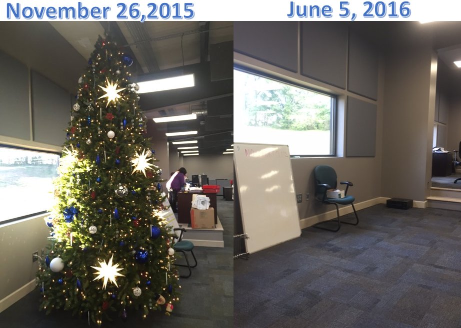 FX_Logistics's tweet photo. Christmas tree is DOWN 203 days later Next year we are going for the record! #FXLSTRONG #christmasinjune #holidaywin https://t.co/887YCLOeXE
