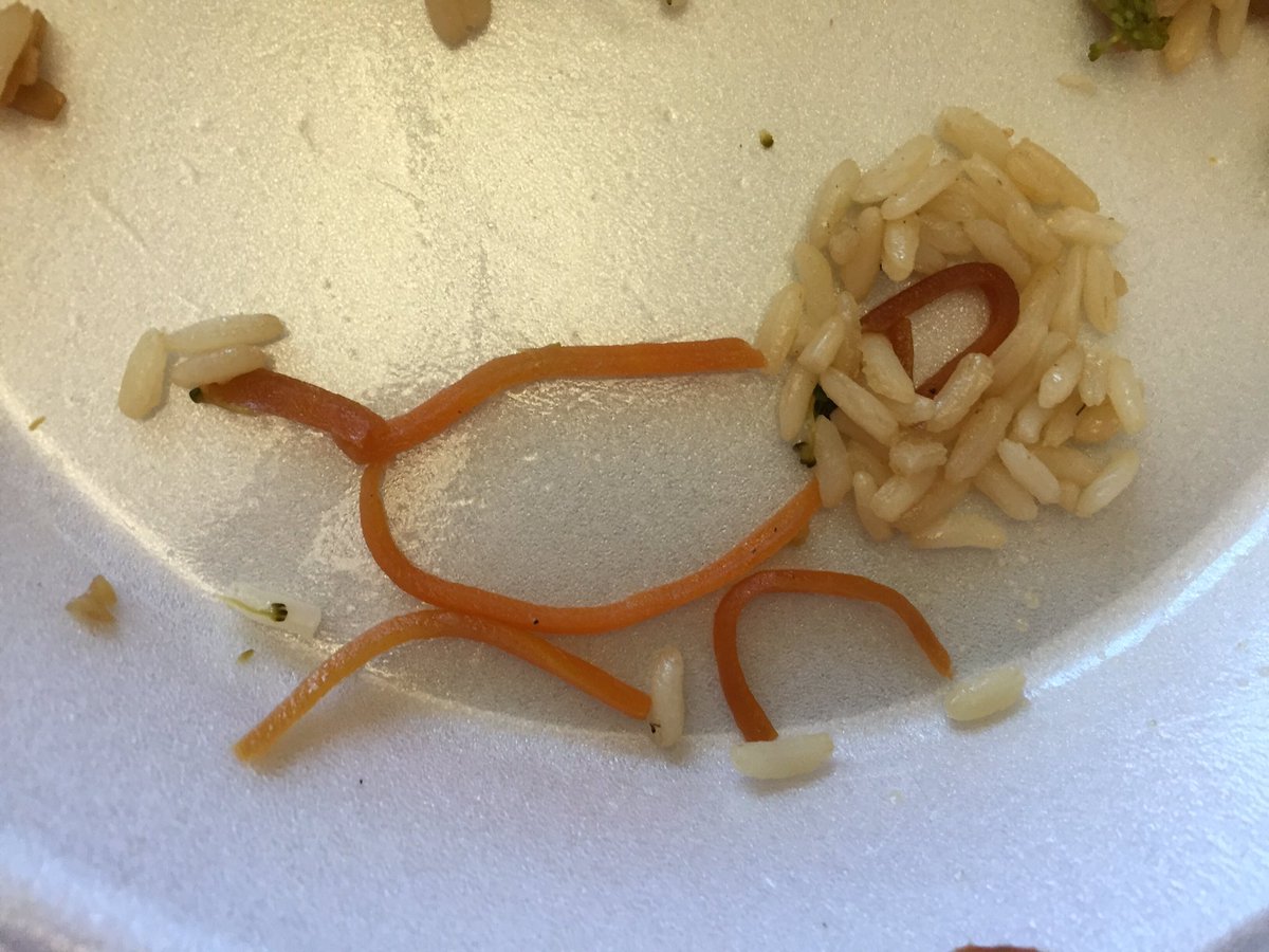 Kayla_Gentry_'s tweet photo. Playing with our food at lunch #CKJSC16 #CKJ16 https://t.co/PcW3Ltbe7x