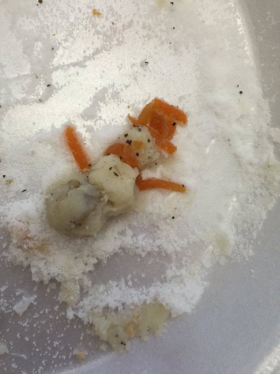 Kayla_Gentry_'s tweet photo. Playing with our food at lunch #CKJSC16 #CKJ16 https://t.co/PcW3Ltbe7x