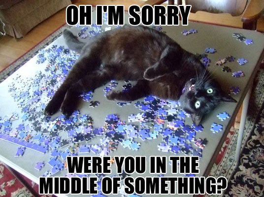 #FunnyCats #FunnyPics #FunyAnimals #Humor #Lol - wanna-joke.com/am-i-interrupt…