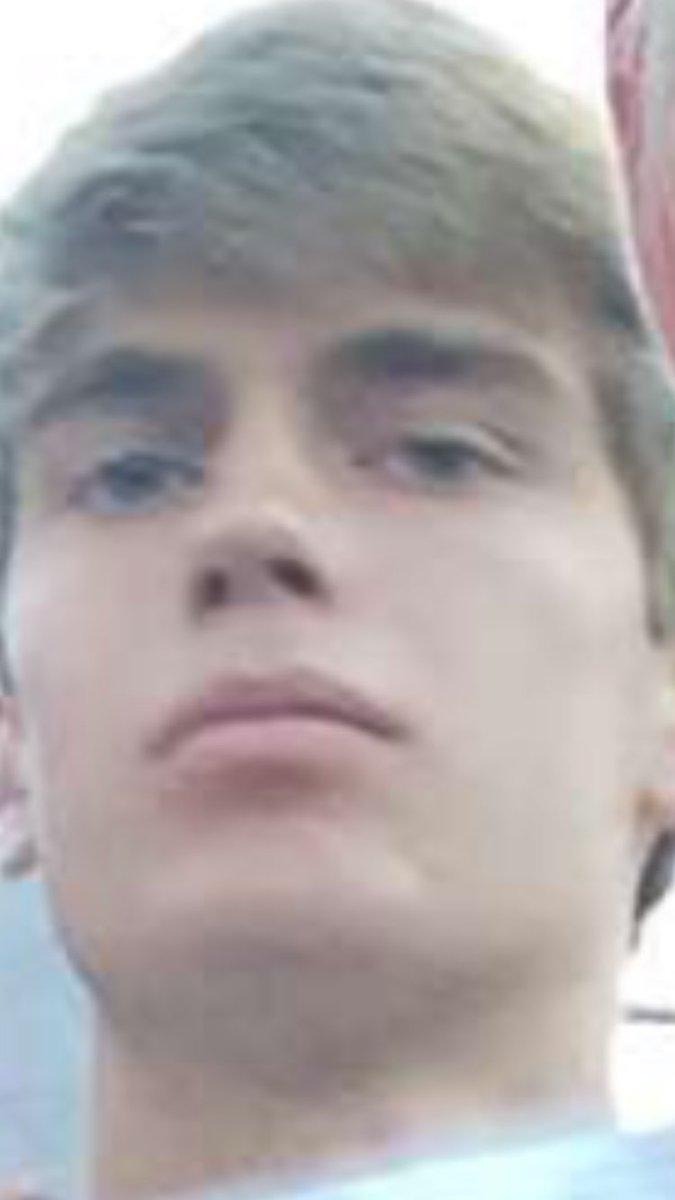 colinbriggs_'s tweet photo. I don't know how @scottlloydxc and I have managed to survive without our other sibling so far
#bringbackCaleb https://t.co/Li6l5yF8CU