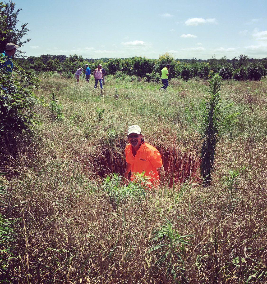 Dftrees's tweet image. Sometimes, when our customers come out to tag, they have a lot of fun! #dftrees #hideandseek #treespade #holes