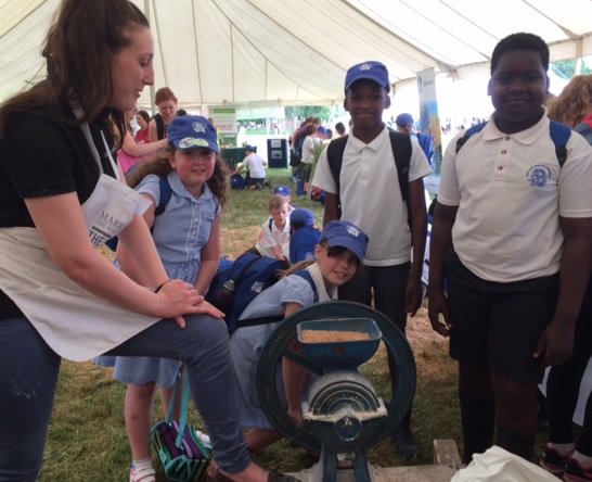 marriagesflour's tweet photo. Milling #wheat #farmtofork #education #ESFFD @writtlecollege https://t.co/tBu6W51k8L