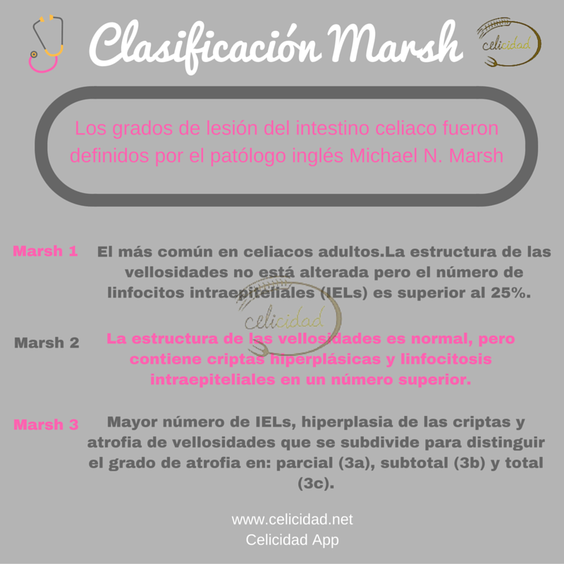 Celicidadsinglu's tweet photo. En #celiaquía, los grados son de lesión del intestino y se clasifican siguiendo el criterio de Marsh. https://t.co/vUJPc7hb30