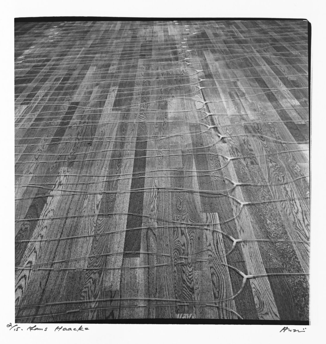 WhiteRainbowLdn's tweet photo. White Rainbow is pleased to announce Tate Modern's acquisition of 16 Shigeo Anzaï photographs #NewTateModern #monoha https://t.co/8kReNpQr4c