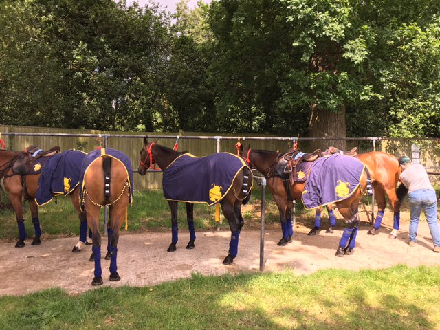 longdolepolocl's tweet photo. Our amazing hirelings awaiting their game!!! https://t.co/9lB1YB2wje