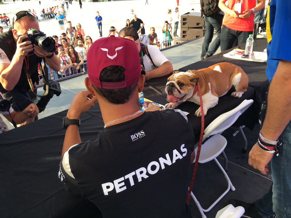 MercedesAMGF1's tweet photo. Meanwhile...
When you're trying to sign autographs and someone keeps barking...
#CocoHAM ;) #F1Baku #EuropeanGP #F1 https://t.co/U4pQzW44ZG