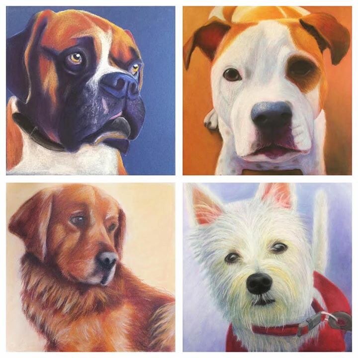 cameraneubanks's tweet photo. My cousin @OliviaCWhite does pet portraits! Email her oliviawhite0208@gmail.com if interested. Starts @ $45 for 8x8 https://t.co/iSFiRCl6gF