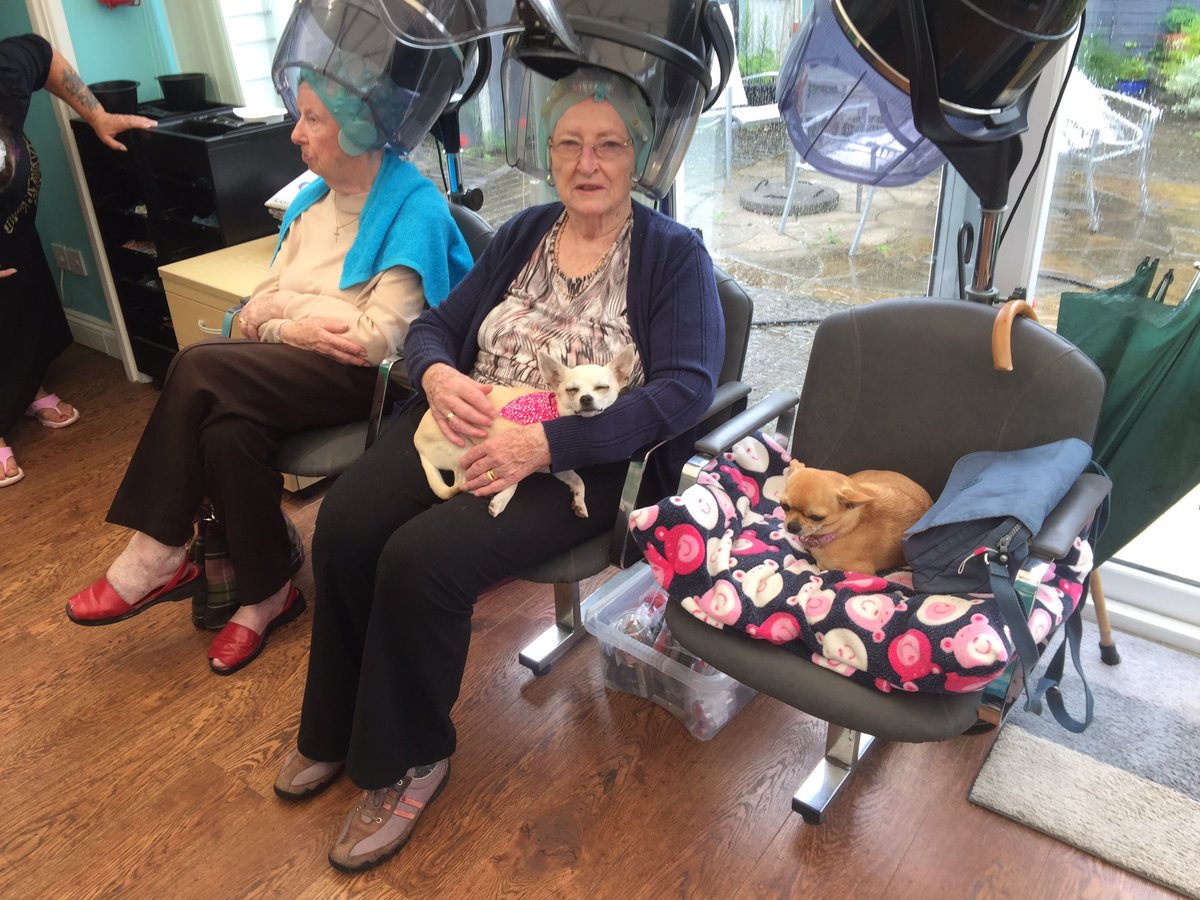 kipperchichi's tweet photo. Enjoying cuddles with the clients today! #comeforthehaircutstayforthechichi's https://t.co/0Fs2kgIxCi