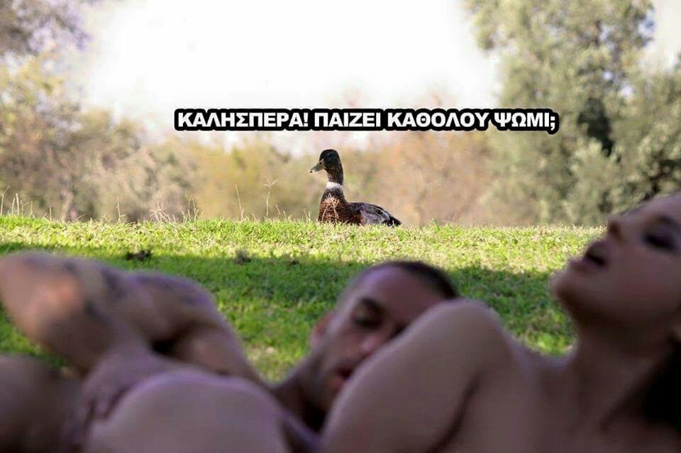 kinkymarkisios's tweet photo. Λιγω ψωμι ρε παιδια,μην γαμιεστε.. https://t.co/Jmtka6xMvX