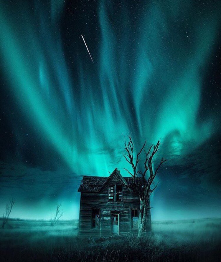 AbandonedPosts's tweet photo. Just wanna spend a night here with my significant other. No technology. No interactions with anyone else. Isolation. https://t.co/haQ52ZMqtQ