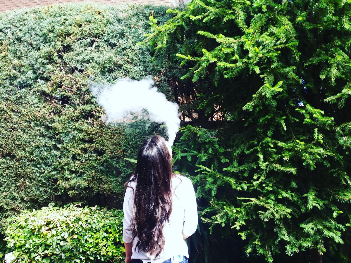 vaporada's tweet photo. ☁Vaporada en el jardin de casa / Vapor cloud in the garden ☁ ijust 2 & Melo III
#Ijust2 #melo3 #vapear #vaporada https://t.co/qr1TK5bIzu